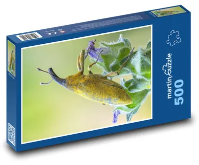 Produktbild von Puzzle 500 Rüsselkäfer auf grünem Blatt - martinpuzzle