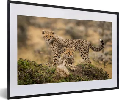 Produktbild von MuchoWow® MuchoWow® Gerahmtes Poster Leopard - Jungtier - Natur 60x40 cm - Poster mit zchwarzem Bilderrahmen - Schlafzimmer - Plakat in Rahmen - Drucken