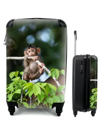 Produktbild von MuchoWow® Koffer Handgepäck Trolley Rollkoffer Kleine Reisekoffer mit 4 Rollen - Baby - Affe - Äste - Cabin Size < 55x40x23 cm & 55x40x20 cm - Fotokoffer - Kabinenkoffer - Boardgepäck - Reise-Box - Reisekoffer - Reisegepäck - Koffer mit Bild - Trolley für Kinder