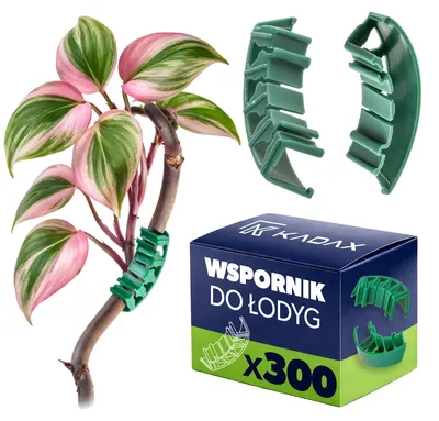 Produktbild von Pflanzenstammstütze, flexibles Design, einfache Installation, Grün