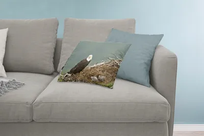 Produktbild von MuchoWow® Zierkissen Sofakissen Wohnzimmer Dekokissen 60x40 cm Ein Weißkopfseeadler mit einem Kükenpaar im Nest - Kopfkissen - Polster mit Foto
