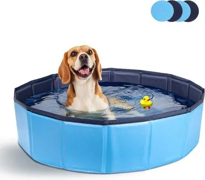 Produktbild von Famanu Hundepool Faltbar - Antirutsch, PVC, 120 x 30 cm, Blau