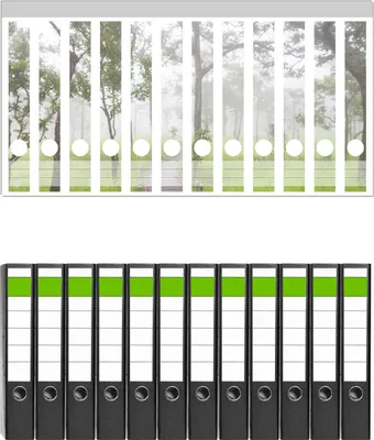 Produktbild von Wallario 12 Stück schmale Ordner inkl. Klebeetiketten mit Motive Pfad durch den Nebelwald -  Set mit Rückenschildern / Ordnerrücken Stickern