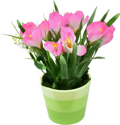 Immagine prodotto di Crocus rosa in vaso di Vetroceramica 27×25 cm