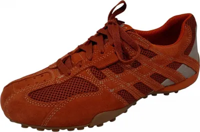 Produktbild von Geox Snake sportlicher Schnürer Orange