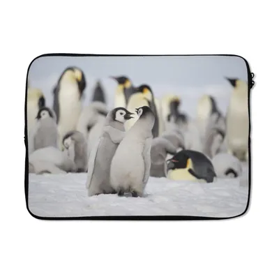 Produktbild von MuchoWow® Laptop Hülle 13 Zoll Pinguine - Schnee - Tiere Laptoptasche - Laptophülle - Sleeve - Rundumschutz