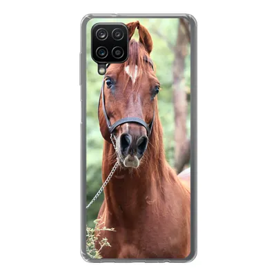 Produktbild von MuchoWow® Handyhülle Schutzhülle Hülle für Samsung Galaxy A12 Pferd - Wald - Halfter Silikon Softcase Handy Hülle - Bild