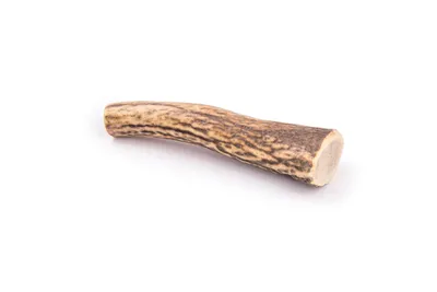 Image de 4DOGS Bois de cerf naturel à mâcher pour chiens DUR taille M dur
