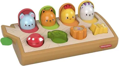 Obrázek produktu pro Fisher-Price GJW24, 0,75 rok/roky, Zvuky, Plast, Vícebarevný