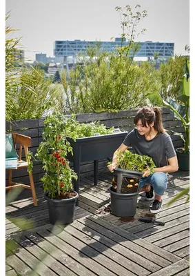 Produktbild von Eduplay Lernspielzeug Tomato Pot - bunter Kartontopf für Kinder