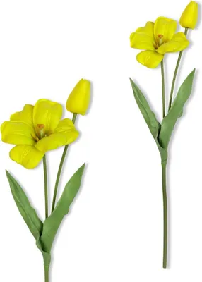 Produktbild von Zweig - Gelbe Schaumtulpe 53 cm