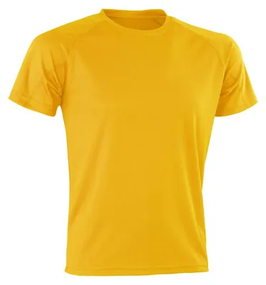 Image de Spiro - T-shirt pour hommes/femmes unie FK2353 (L) (or)