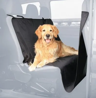 Produktbild von Nobby Auto-Schutzdecke L x B: 215 x 145 cm schwarz