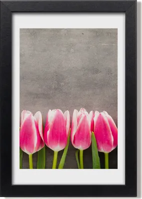 Produktbild von Bild 20x30 MDF-Rahmen, Wandkunst Rosa Tulpen