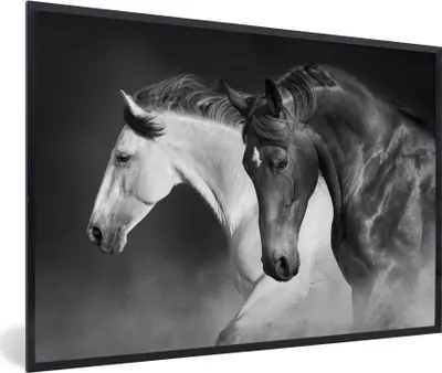 Produktbild von MuchoWow® Gerahmtes Poster Pferde - Tiere - Schwarz - Weiß - Porträt 90x60 cm - Poster mit Schwarzem Bilderrahmen Wandposter Rahmen Foto Bilder - Fotorahmen - Foto-Plakat