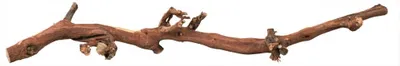 Produktbild von Trixie Sandgestrahlter Weinstock Braun 40-60 cm Braun 40-60 cm