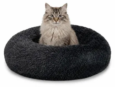 Immagine prodotto di lionto Cuscino per gatti Donut, letto rotondo con rivestimento in peluche e base antiscivolo, bordo rialzato per la sicurezza, diametro 50 cm, grigio scuro