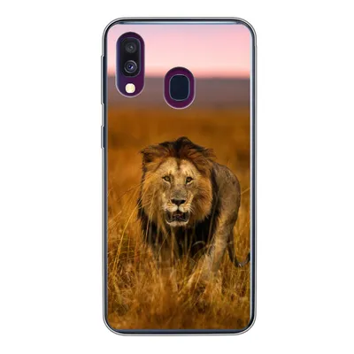 Produktbild von MuchoWow® Handyhülle Schutzhülle Hülle für Samsung Galaxy A40 Löwe - Savanne - Gras Silikon Softcase Handy Hülle - Handy-Tasche
