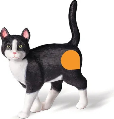Produktbild von Ravensburger 003174 tiptoi® - Spielfigur Katze