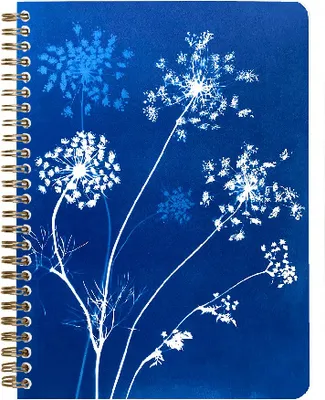 Produktbild von Clairefontaine 4x Notizbuch Spiralbindung A5 74 Blatt liniert sortiert 83504C