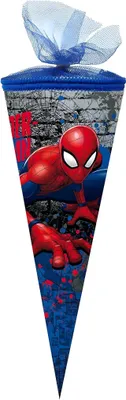 Obrázek produktu pro Nestler školní kužel tylu v. 22 cm kulatý Spider-Man Marvel
