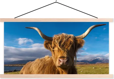 Produktbild von MuchoWow® Textilposter Schottische Hochlandrind - Tiere - Gras 60x30 cm mit holzfarbenen Rahmen - Dekoration