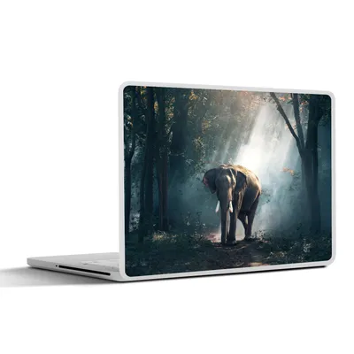 Produktbild von MuchoWow® Laptop Aufkleber Sticker Cover Elefant - Wald - Sonne 30x22 cm - Laptop-Sticker