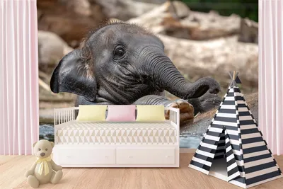 Produktbild von Vlies Fototapete JUNGER INDISCHER ELEFANT 375 x 250 cm (inkl. Kleister) - Vlies Tapete, Wandtapete, Wandbilder - Tapete für Wohnzimmer Schlafzimmer, Büro, Küche - Montagefertig