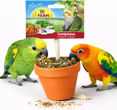 Zdjęcie produktu dla JR FARM Gliniana Donica - pyszna przekąska dla wszystkich większych papug 260 g