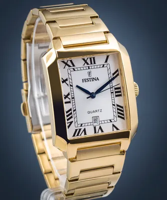 Image de Festina - F20678/1 - Montre-bracelet - Hommes