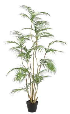 Productafbeelding van Tropische Areca-palm kunstplant 160 cm