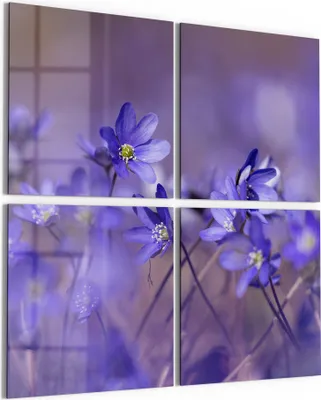 Produktbild von DEQORI Glasbild Echtglas 4x50x50 cm 'Blaue Traumblüten' Wandbilder XXL groß