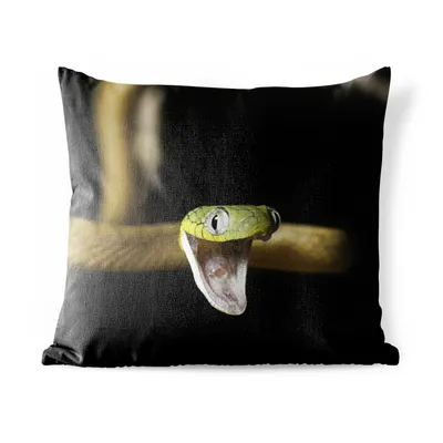 Obrázek produktu pro MuchoWow® Vnější polštář - Had - zelená - žlutá -40x40 cm- Odolnost proti povětrnostním vlivům - polštář do obývacího pokoje