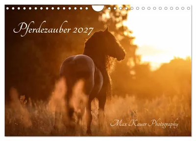 Produktbild von Pferdezauber 2027 (Wandkalender 2027 DIN A4 quer), CALVENDO Monatskalender