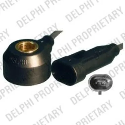 Produktbild von Delphi Klopfsensor  As10134-12B1