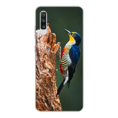 Produktbild von MuchoWow® Handyhülle Schutzhülle Hülle für Samsung Galaxy A70 Nahaufnahme eines bunten Vogels auf der Seite eines Baumstamms Silikon Softcase Handy Hülle - Schutzhaube