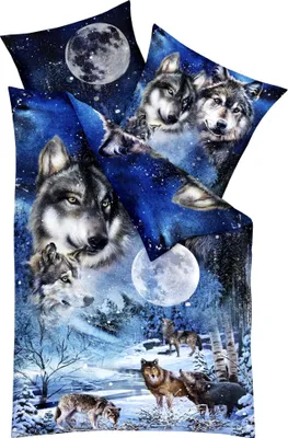 Produktbild von Kaeppel Mako Satin 135x200cm Digitaldruck Bettwäsche 2 tlg. Wolf Urwald Federn Abstrakt Baumwolle, Farbe:Wolf