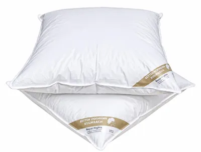 Produktbild von 2 Stück Betten Hofmann Daunenkissen 80x80 cm 600g Daunen Kopfkissen Kissen 100% Daunen medium