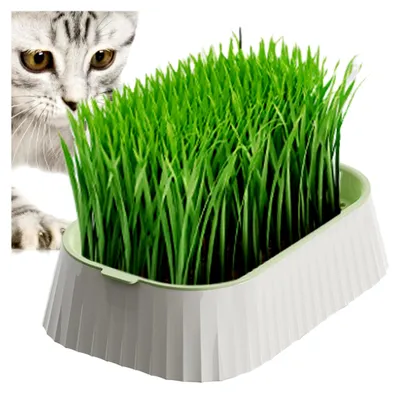 Produktbild von Katzengrasschale, Keimschale für Katzengras, doppellagig, Hydrokulturbehälter, Pflanzwerkzeuge, Weizengras-Keimung, Kindergartenbox für Kätzchen