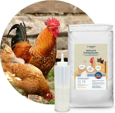 Produktbild von Schicker Mineral-Hüfisan Hygiene-Kombi 25 kg Sack + 500 ml Stäubeflasche-0-2mm