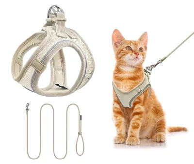 Immagine prodotto di Imbracature e guinzagli per cani e gatti, ideali per passeggiate e viaggi