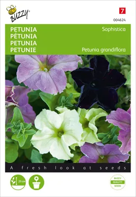 Produktbild von Petunia Sophistica Mischung | Petuniensamen von Buzzy Seeds