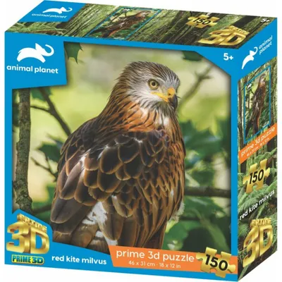 Produktbild von PRIME 3D Puzzle Tierplanet: die rote Schnecke 3D 150 Teile