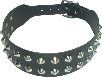 law of vibration deutsch Hunde brauchen doch keine Sonnenbrille.“ Aber: Hundeaugen sind genauso  empfindlich wie unsere. Je nach Aktivität kann eine Brille durchaus  sinnvoll sein. Beim Zughundesport prallt Fahrtwind ungefiltert auf die  Augen. Dazu kommen Staub, main image 1