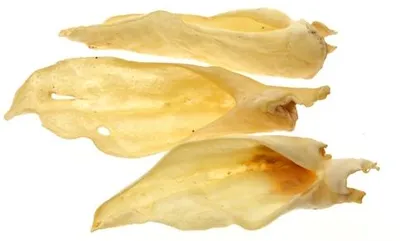 Productafbeelding van Zoolekker Geitenoren hondensnack 2 kg - 100% natuurlijke kauwsnack voor honden