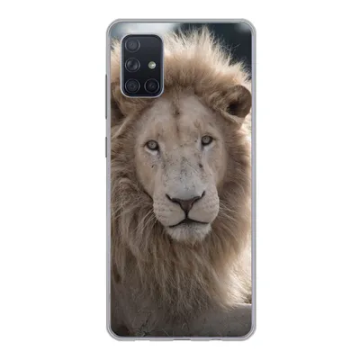 Produktbild von MuchoWow® Handyhülle Schutzhülle Hülle für Samsung Galaxy A71 Löwe - Tier - Weiß Silikon Softcase Handy Hülle - Kartenbesitzer