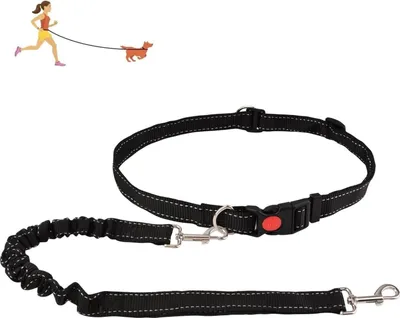 Produktbild von Verstellbare handfreie Hunde-Leine mit reflektierendem Bungee-Leinen und Hüftgurt für Training und Spaziergänge