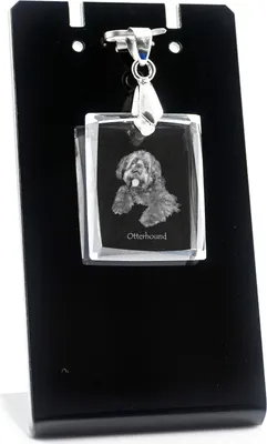 Obrázok produktu pre Otterhound - Krištáľový prívesok so psom, náhrdelník s fotografiou, jedinečné šperky od Art-Dog