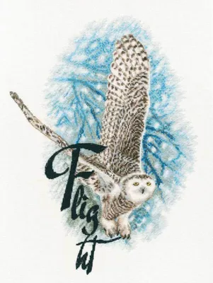 Obrázok produktu pre RTO Súprava na vyšívanie krížikom "Flight" M816, počítaný vzor, 25x34cm