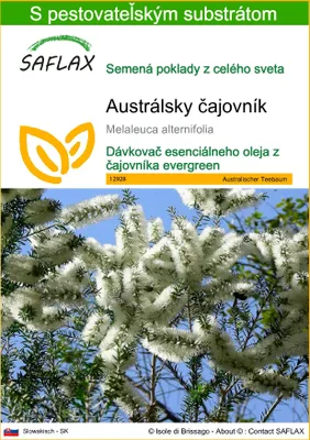 Obrázok produktu pre SAFLAX - Austrálsky čajovník - Melaleuca alternifolia - 400 Semená - S pestovateľským substrátom bez klíčkov